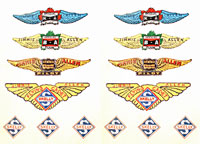 Jimmie Allen TissueCal Markings
