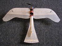 D-12 Etrich Taube (Laser Cut)