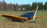 FF-06 Fairchild PT-19