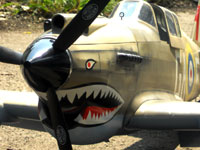 FF-56 Curtiss Tomahawk P-40