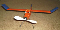 FF-86 Freshman Embryo