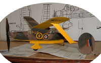 FF-95LC Mystery Tailless (Laser Cut)