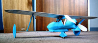 FF-95LC Mystery Tailless (Laser Cut)