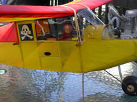 FFP-01 Original Model Craft Hornet