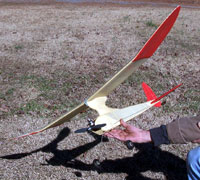 FFP-04 Original Modelcraft 1/2A Wasp