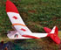 FFP-04 Model Craft 1/2A Wasp