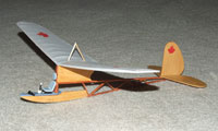 G-06 Canadian Armed Forces Trainer
