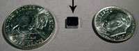 Rare Earth Magnet M01
