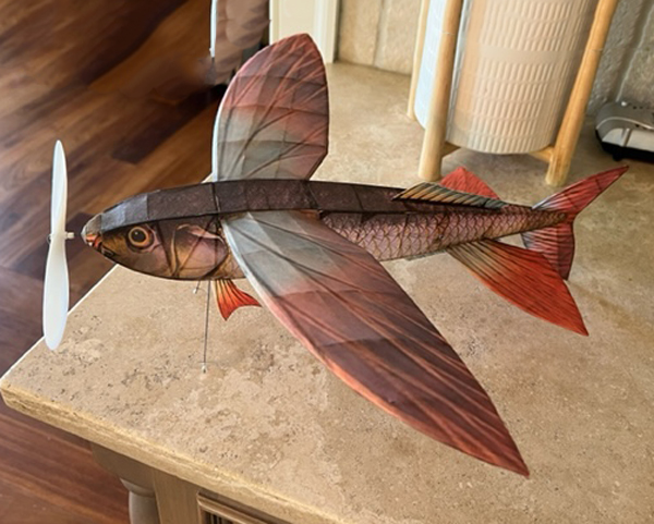kit PD19 Pres Bruning's Flying-Fish Embryo (Laser Cut)