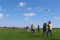 Wawayanda 2006
